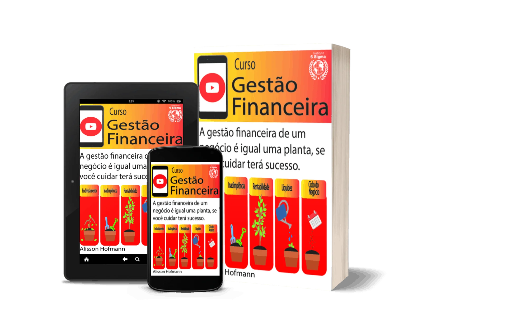 curso gestão financiera